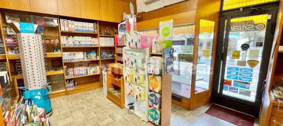 1 room Commercial property in Manerbio, Italy No. 2646 10