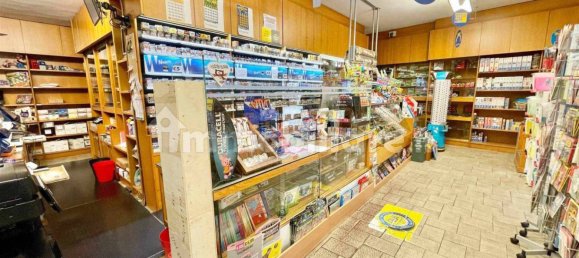 1 room Commercial property in Manerbio, Italy No. 2646 7