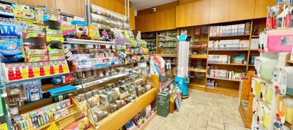 1 room Commercial property in Manerbio, Italy No. 2646 11