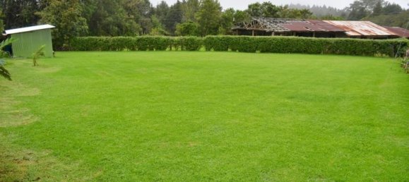 2 bedrooms House in San Rafael, Costa Rica No. 599 6