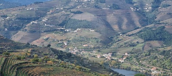 3 غرف نوم منزل في Resende, Portugal رقم 175121 11