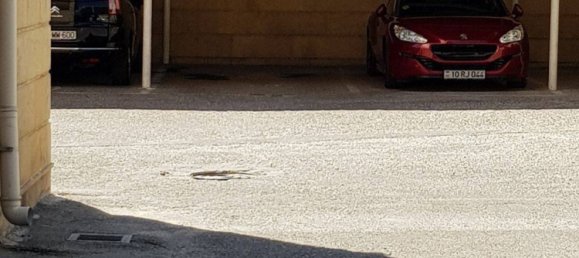 Apartamento de 3 dormitorios en Khatay, Azerbaijan No. 1766 6