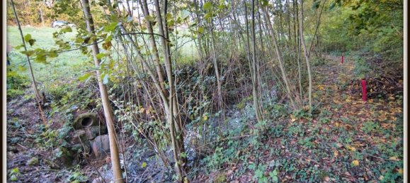 Terreno en Divonne-les-Bains, France 1000 m² No. 120042 3