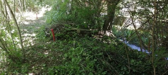 Terreno en Divonne-les-Bains, France 1000 m² No. 120042 10