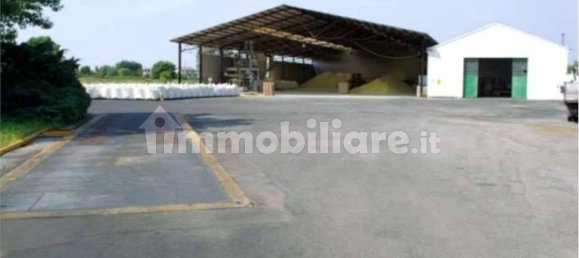 1 room Warehouse in Minerbe, Italy No. 267102 3