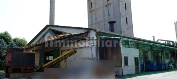 1 room Warehouse in Minerbe, Italy No. 267102 7