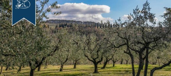 8 bedrooms Commercial property in Assisi, Italy No. 386277 34