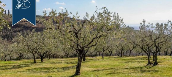 8 bedrooms Commercial property in Assisi, Italy No. 386277 35