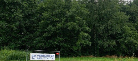  Land in Ossiach, Austria No. 194934 4