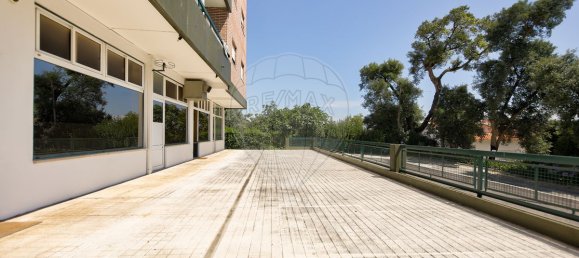 158m² Commercial property in Anadia, Portugal No. 76554 18