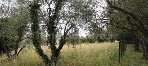 2 bedrooms House in Lucca, Italy No. 330070 15