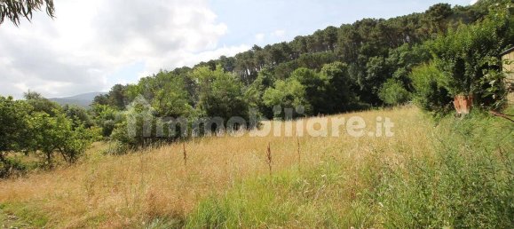 2 bedrooms House in Lucca, Italy No. 330070 13