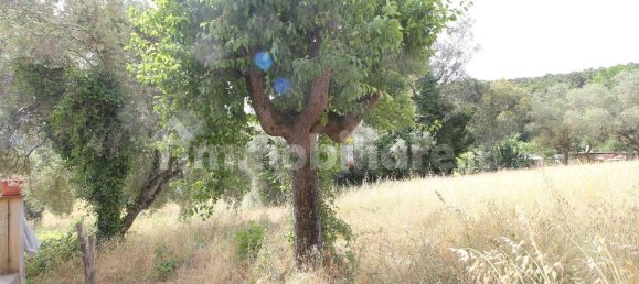 2 bedrooms House in Lucca, Italy No. 330070 17