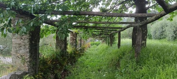 9 rooms House in Lucca, Italy No. 146874 4