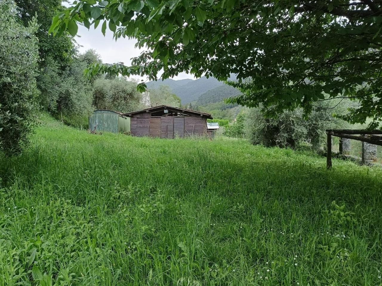 9 rooms House in Lucca, Italy No. 146874