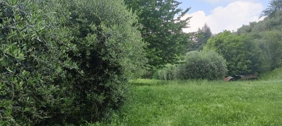 9 rooms House in Lucca, Italy No. 146874 17