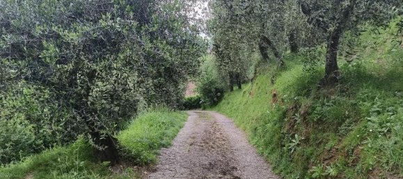 9 rooms House in Lucca, Italy No. 146874 3