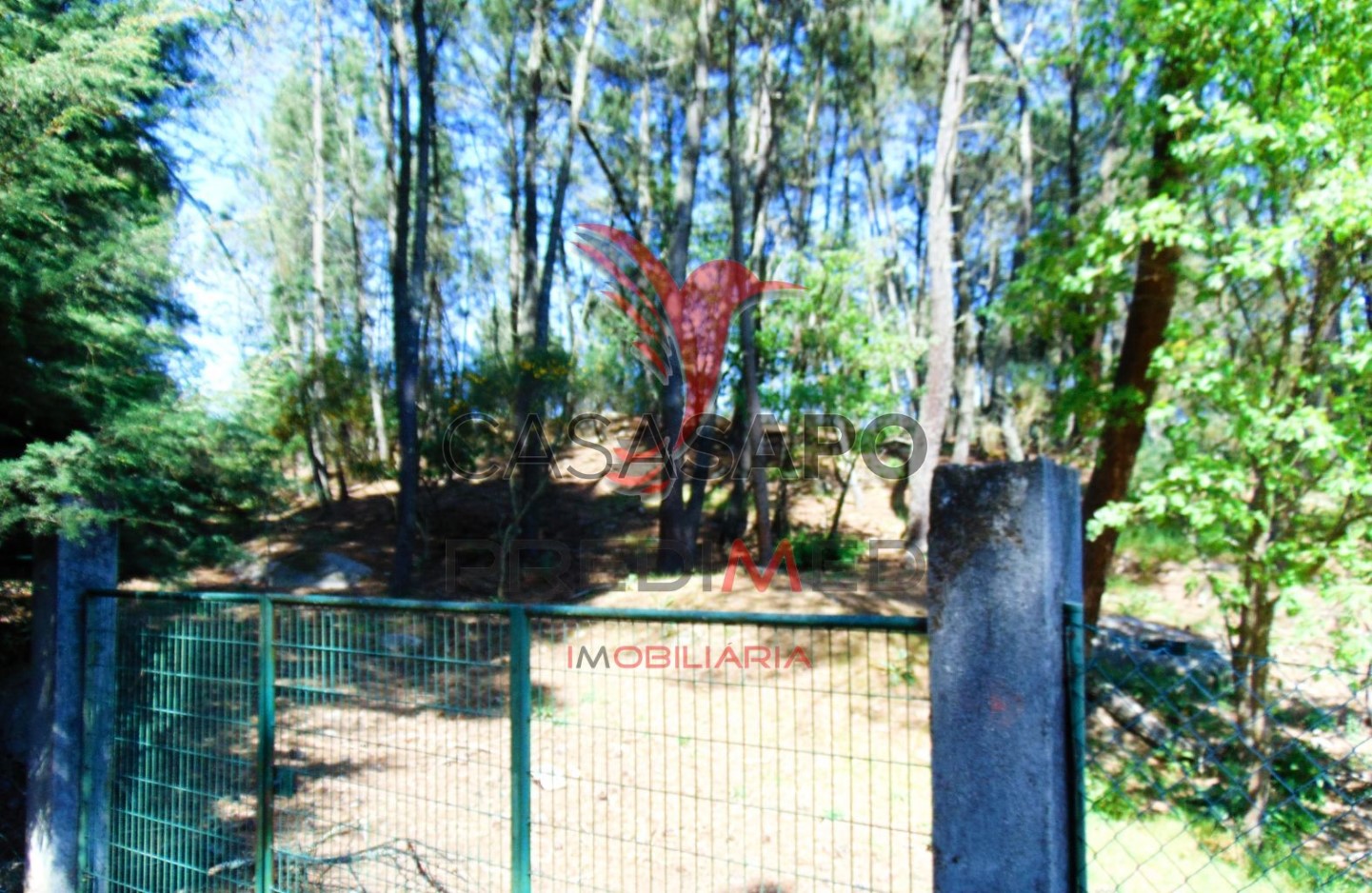 Земельный участок в Картейра, Португалия № 198292