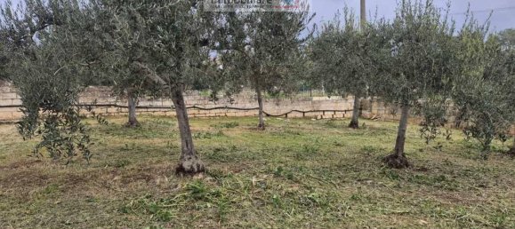 3 rooms Villa in Noto, Italy No. 30118 27