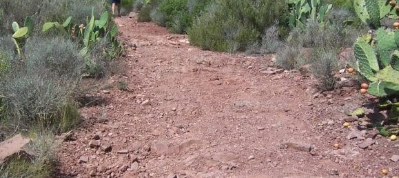 5 bedrooms House in Pucol, Spain No. 25400 32