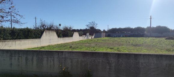Terreno em Foggia, Italy 6600 m² N.º 254235 5