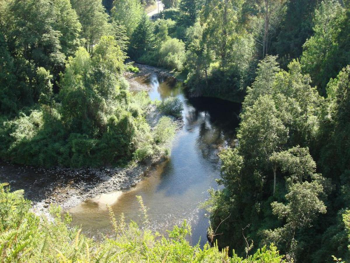  Commercial property in Los Rios, Chile No. 226