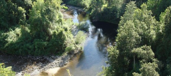  Commercial property in Los Rios, Chile No. 226 2