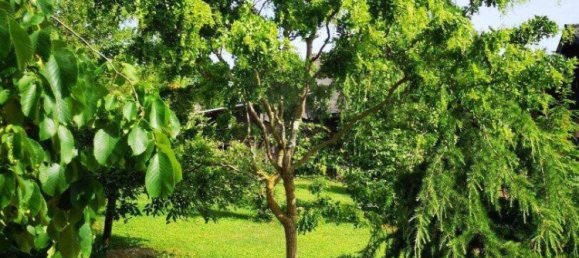 3 rooms Bungalow in Bad Wimsbach-Neydharting, Austria No. 133583 33