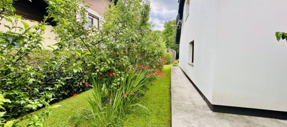 3 rooms Bungalow in Bad Wimsbach-Neydharting, Austria No. 133583 32