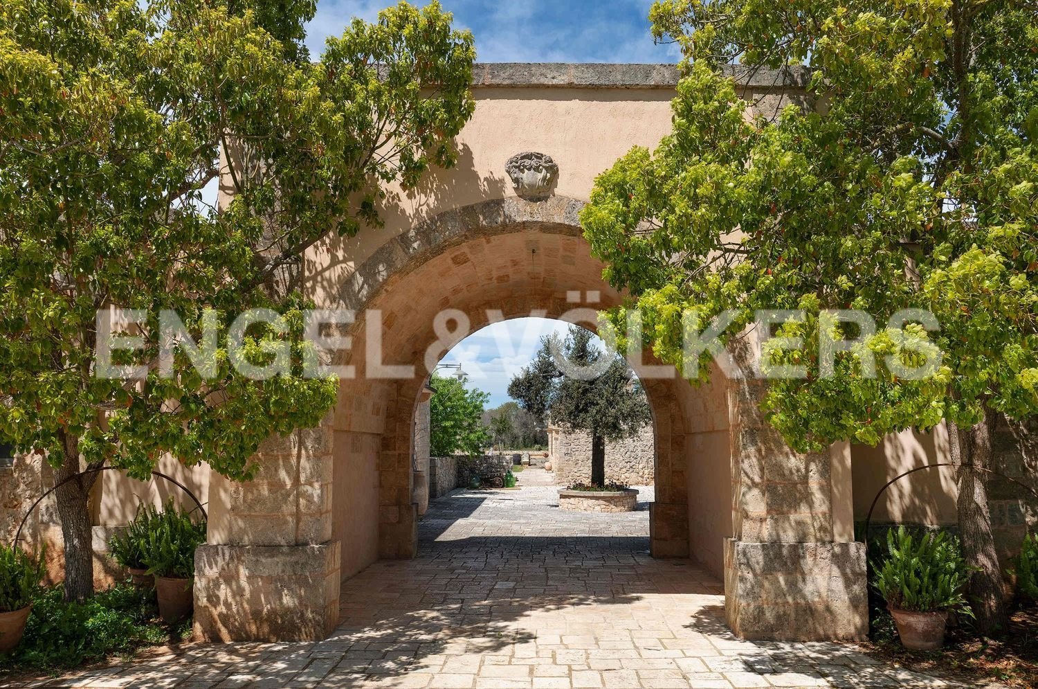 9 rooms House in Tricase, Italy No. 126333