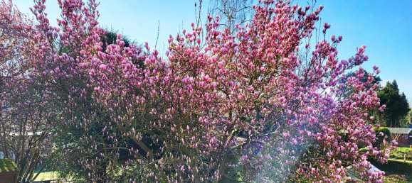 Apartamento de 2 dormitorios en North Rhine-Westphalia, Germany No. 286792 6