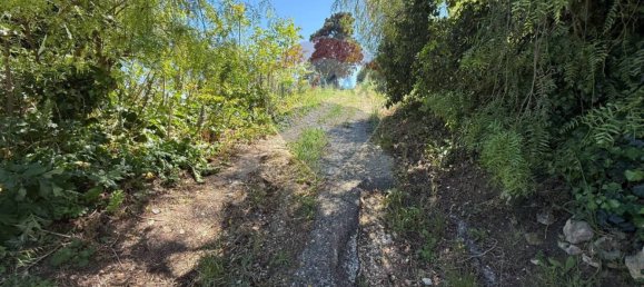 20000m² Land in Valderice, Italy No. 348914 5