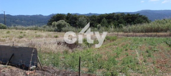 8290m² Land in Sintra, Portugal No. 55739 7