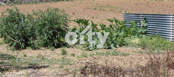 8290m² Land in Sintra, Portugal No. 55739 30