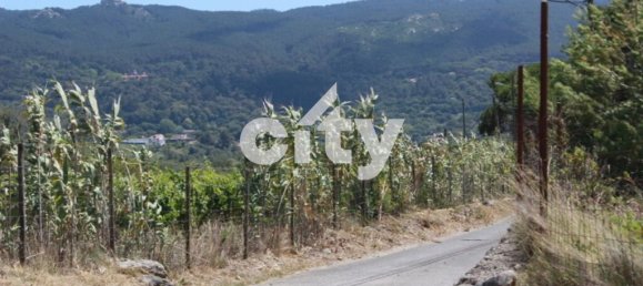 8290m² Land in Sintra, Portugal No. 55739 24