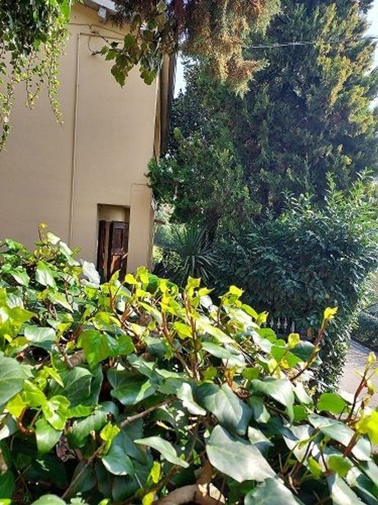 12 rooms House in Brisighella, Italy No. 297283