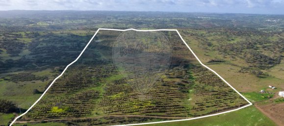 9 bedrooms Castles in Almodovar, Portugal No. 60698 2