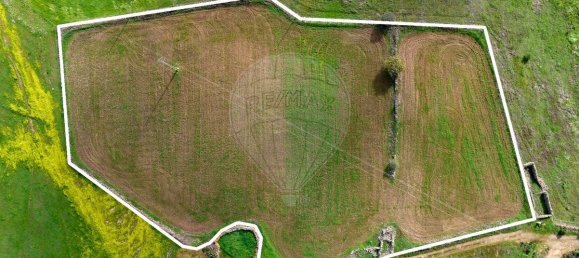 9 bedrooms Castles in Almodovar, Portugal No. 60698 6