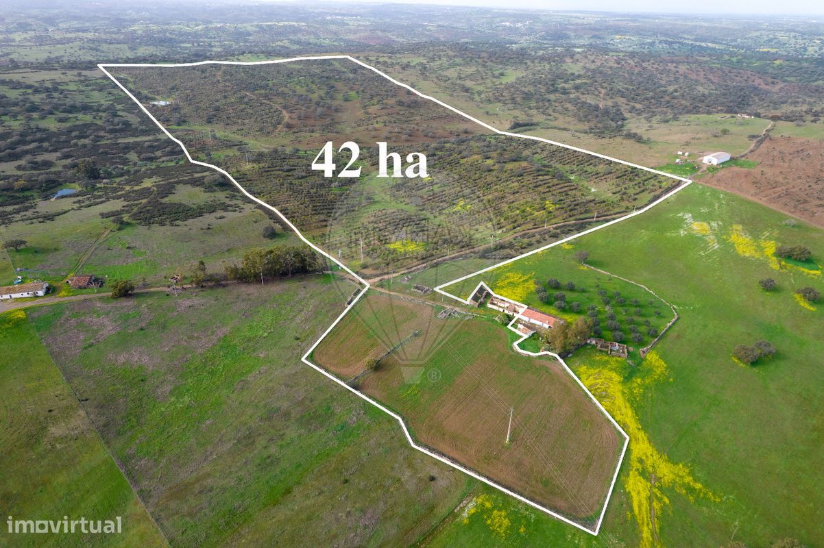 9 bedrooms Castles in Almodovar, Portugal No. 60698