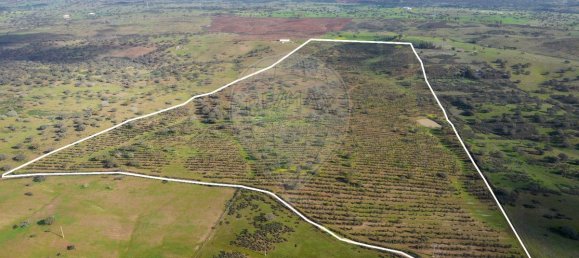 9 bedrooms Castles in Almodovar, Portugal No. 60698 3