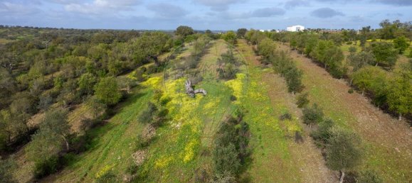 9 bedrooms Castles in Almodovar, Portugal No. 60698 8