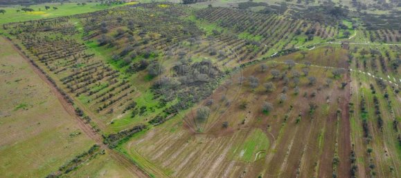 9 bedrooms Castles in Almodovar, Portugal No. 60698 9