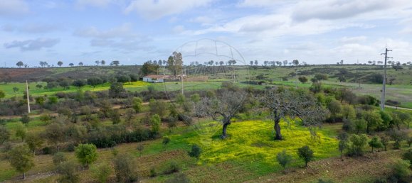 9 bedrooms Castles in Almodovar, Portugal No. 60698 10