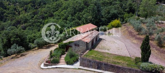 20 غرف نوم فيلا في Gaiole in Chianti, Italy رقم 124849 3