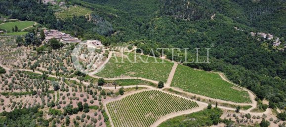 20 غرف نوم فيلا في Gaiole in Chianti, Italy رقم 124849 9