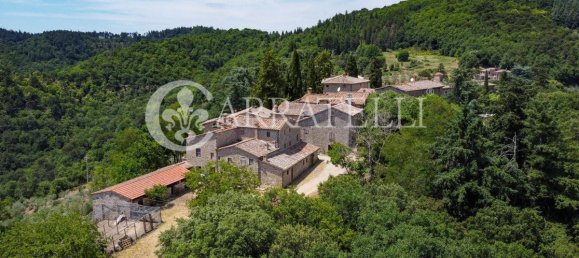 20 غرف نوم فيلا في Gaiole in Chianti, Italy رقم 124849 10