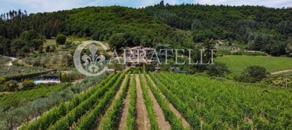 20 غرف نوم فيلا في Gaiole in Chianti, Italy رقم 124849 32