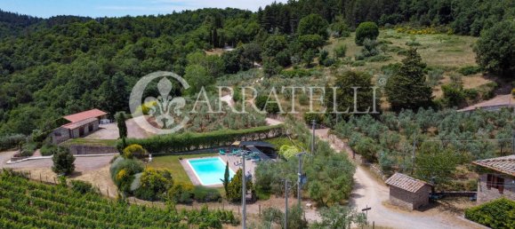20 غرف نوم فيلا في Gaiole in Chianti, Italy رقم 124849 6