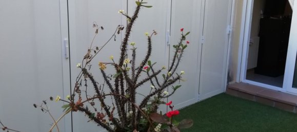 2 bedrooms Apartment in Palma de Majorca, Spain No. 164387 17