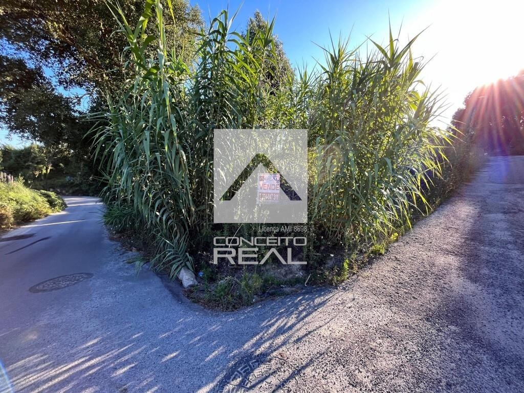 Terrain à Madalena, Portugal 901m² No. 61452